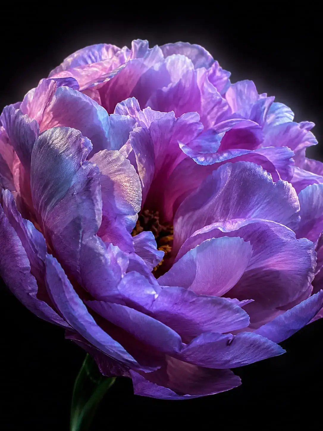 Mysteria